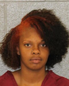 Tierra Rollins Larceny Shoplifting Concealment Goods