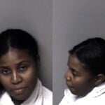Monique Horton Misd Crime Of Dom Violence