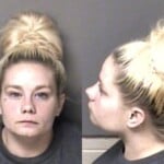 Mazie Francis Misd Crime Of Dom Violence Child Abuse