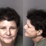 Bonnie Rollins Possess Methamphetamine Possess Drug Paraphernalia