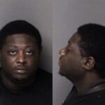Avis Armstrong Misd Crime Of Dom Violence