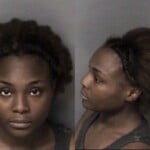 Janaya Mccauley Failure To Appear Misdemeanor Extraditionfugitive Other State