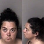 Nina Crosthwait Misd Crime Of Dom Violence