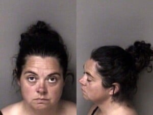 Nina Crosthwait Misd Crime Of Dom Violence