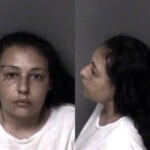 Leah Wood Failure To Appear Misdemeanor