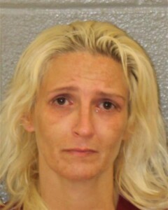 Summer Wilson Traffick Methamphetamine Possess Drug Paraphernalia