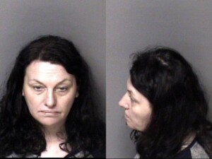 Melissa Slagle Probation Violation Defraud Drugalc Test 1st