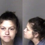 Hannah Hanline Failure To Appear Misdemeanor