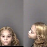 Andrea Chipley Larceny Motor Vehicle Conspiracy