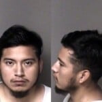 Jonathan Vincente Dwi Immigration