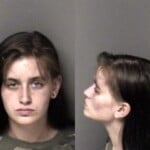 Ashley Merideth Awdw Misd Crime Of Dom Violence