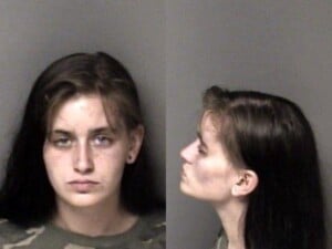 Ashley Merideth Awdw Misd Crime Of Dom Violence