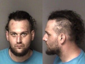 Michael Wilson Robbery Dangerous Weapon Kidnapping Second Degree Weapon Possess Mass Destruction Burglary 1st Degree Kidnapping Second Degree Awdw Threat Communicate Assault Female