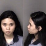 My Nguyen Assault Simple