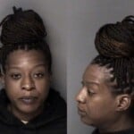 Whitney Smith Failure To Appear