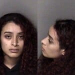 Estephanie Carballolopez Dwi Reckless Driving To Endanger Speed Exceed Safe Seat Belt Fail To Wear