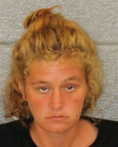 Cassidy Reigel Possess Methamphetamine Larceny Possess Drug Paraphernalia