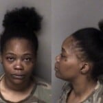 Kadeishia Dunlap Misd Crime Of Dom Violence