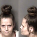 Alena Myers Possess Methamphetamine
