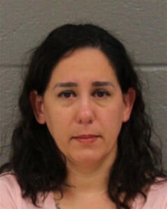 Brisaidy Gonzalez Simple Assault Misd Crime Of Dom Violence