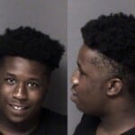 Demarion Elliot Larceny Misdemeanor
