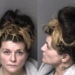 Laura Costner Larceny Of Motor Vehicle Possess Methamphetamine