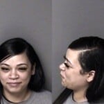 Alexis Mcelhaney Failure To Comply