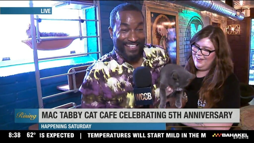 Mac Tabby Celebrates 5 Year Anniversary