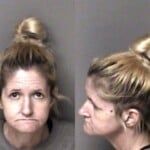 Misty Brinson Possess Methamphetamine Possess Drug Paraphernalia