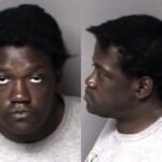 Demario Mcclee Larceny