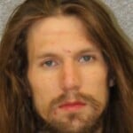 Steven Carroll Possess Methamphetamine Carrying Concealed Weapon Gun Felony Larceny