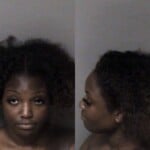 Gabrielle Crawford Assault Simple Resist Public Officer Injury Personal Property
