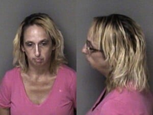 Kimberly Mason Larceny Dog Extortion