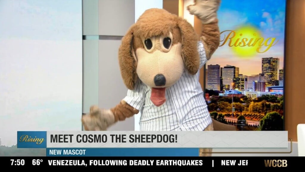 Knothole Foundation Introduces New Mascot!