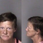 Celeste Main Assault And Battery Misd Crime Of Dom Violence