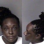 Donella Cook Probation Violation