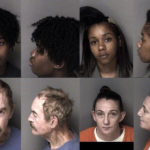 Gaston County Mugshots
