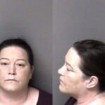 Michelle Roques Dwi Reckless Driving To Endanger Hitrun Leave Scene Property Damage