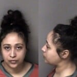 Lizbeth Gonzalez Failure To Appear Misdemeanor