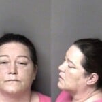 Michelle Roques Dwi Reckless Driving To Endanger Hitrun Leave Scene Property Damage