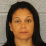 Michelle Fernandez Hit And Run Leave Scene Property Damage