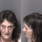 Paula Armstrong Possess With Intent To Manufacture Sell Deliver Cocaine