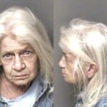 Jane Harn Probation Violation