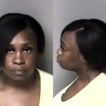 Makayla Mcelhaney Theft Financial Card False Pretense Conspire Theft Financial Card Larceny Misdemeanor Fraud Financial Card Conspiracy