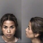 Sopha Lim Driving While Impaired Child Abuse