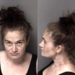 Heather Bridges Larceny Of Motor Vehicle Failure To Appear
