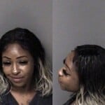 Destiny Warren Dwi Fail To Stop Steady Red Light Poss Open Conatinercons Alc Psg Area