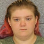 Shelby Presley Larceny Trespassing