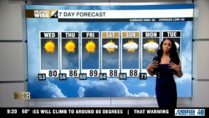 Bright Sunshine Wednesday