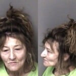 Crystal Caldwell Misd Crime Of Dom Violence Resist Public Officer Assault Simple